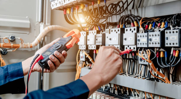 Best Ceiling Fan Installation Electrician  in Reese, MI