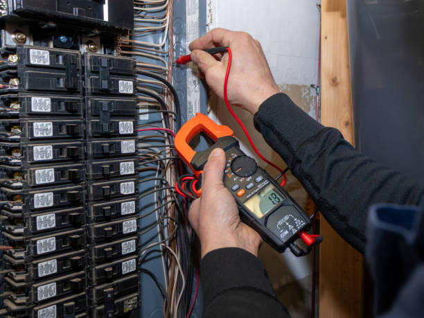 Best Electrical Repair Services  in Reese, MI